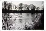 IMG 6310