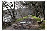 IMG 6319