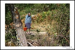 IMG 7778