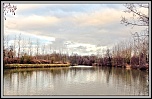 -_mg_0364-jcd-border.jpg