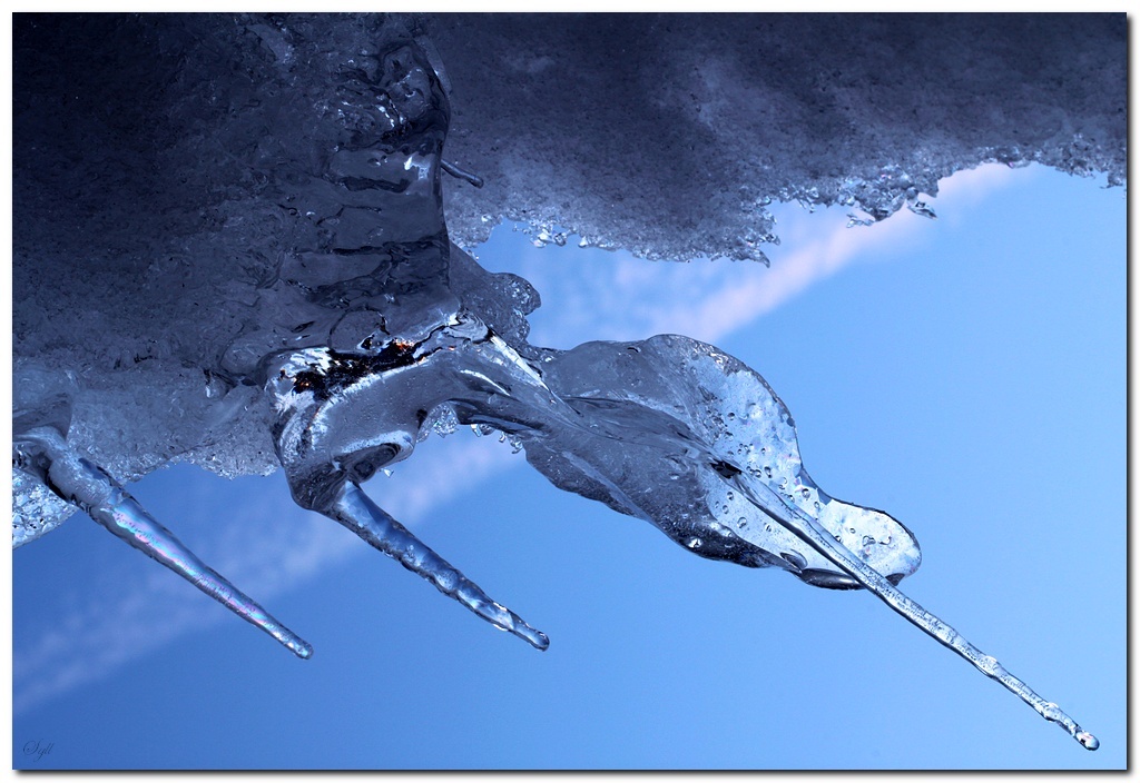 -jeu-de-glace_2.jpg