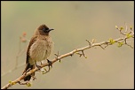 Mise en ligne de vos photos-1.jpg