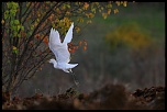 Mise en ligne de vos photos-diapo_7.jpg