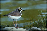 Mise en ligne de vos photos-2.jpg