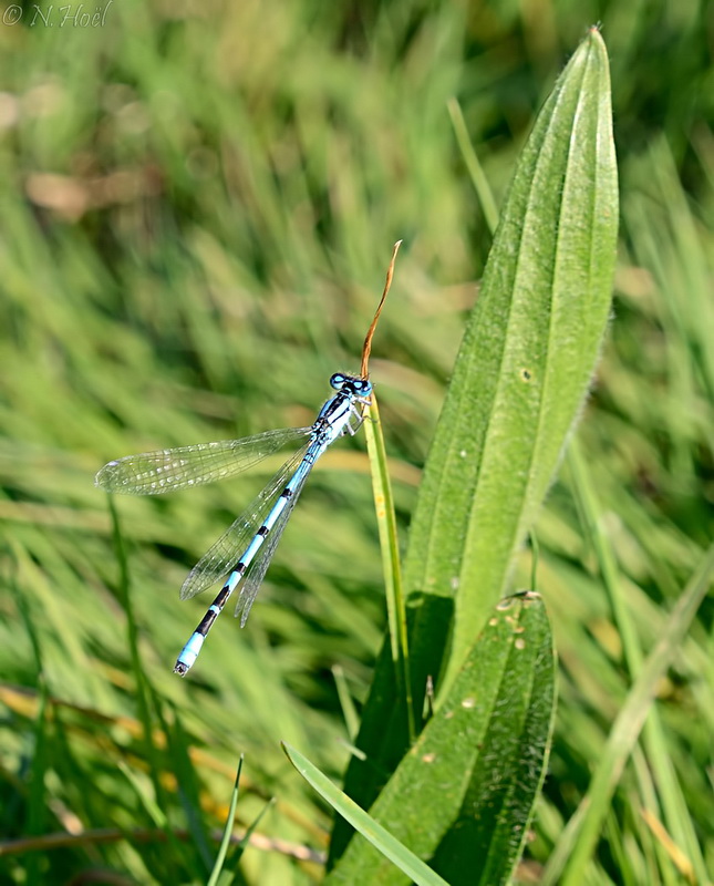 -ccc_3496.jpg