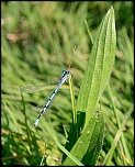 -ccc_3496.jpg