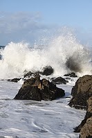 70-300 Sigma APO-img_2084.jpg