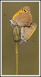 -img_4212_02.jpg