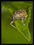 -img_1540.jpg