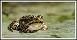 -img_4708.jpg