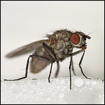 -img_4098.jpg