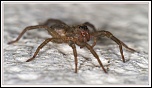 -img_4140.jpg