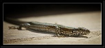 -img_2104.jpg