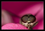 -img_3210.jpg