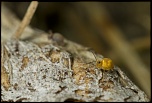 -img_4129.jpg
