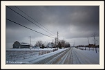 -_mg_6483-naturelimages.com.jpg