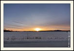 -_mg_6783-naturelimages.com.jpg