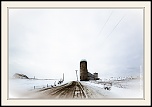 -_mg_6526-naturelimages.com-2.jpg