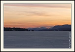 -_mg_2577-naturelimages.com.jpg