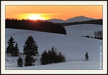 -_mg_2310-2-naturelimages.com.jpg