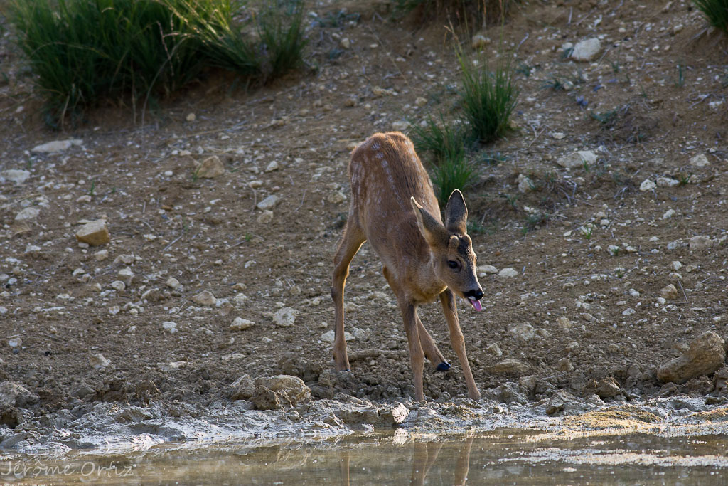 -img_3023.jpg
