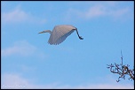 -img_3991.jpg