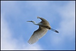 -img_3952.jpg