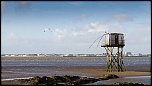 -carrelat-43-sur-43-.jpg