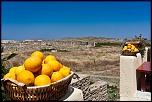 -delos-36-sur-43-.jpg