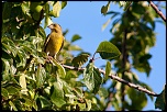 -verdier-6-sur-43-.jpg