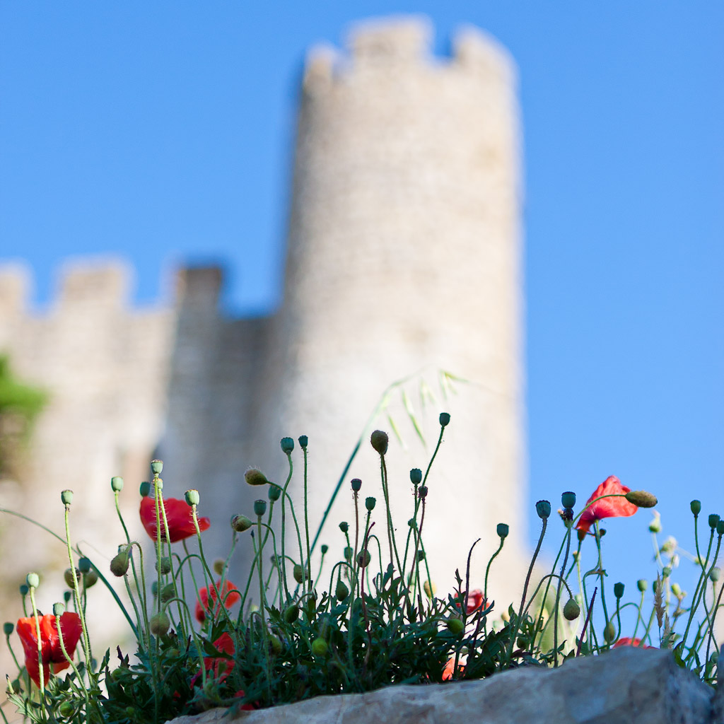 -obidos-33-sur-43-.jpg