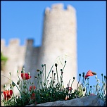 -obidos-33-sur-43-.jpg