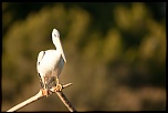 -_f4d5599.jpg