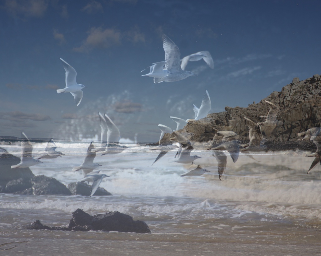 70-300 Sigma APO-pointe-du-millier-bretagne-finistere1.jpg