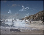 70-300 Sigma APO-pointe-du-millier-bretagne-finistere1.jpg