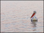 -img_0709000.jpg
