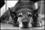 -img_5675.jpg