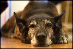 -img_5675.jpg