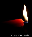 -img_1814.jpg