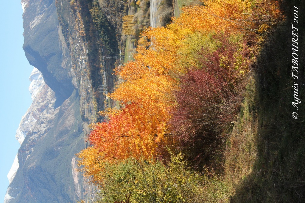 -img_4128.jpg