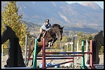 -img_1737.jpg