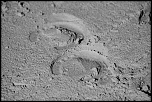 -img_4438-1.jpg