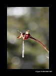 -img_1878.jpg
