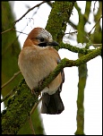 -copie-de-img_1434.jpg