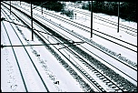 Metz 44 AF - 4C et 300 D-img_9619_picnik.jpg
