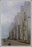 Metz 44 AF - 4C et 300 D-dunesdesflandres.jpg