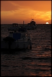 IMG 11933 1