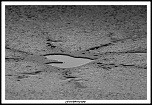 -img_5272.jpg