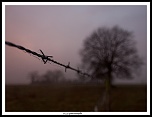 -img_4534-modifier-modifier.jpg