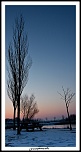 -img_5137.jpg